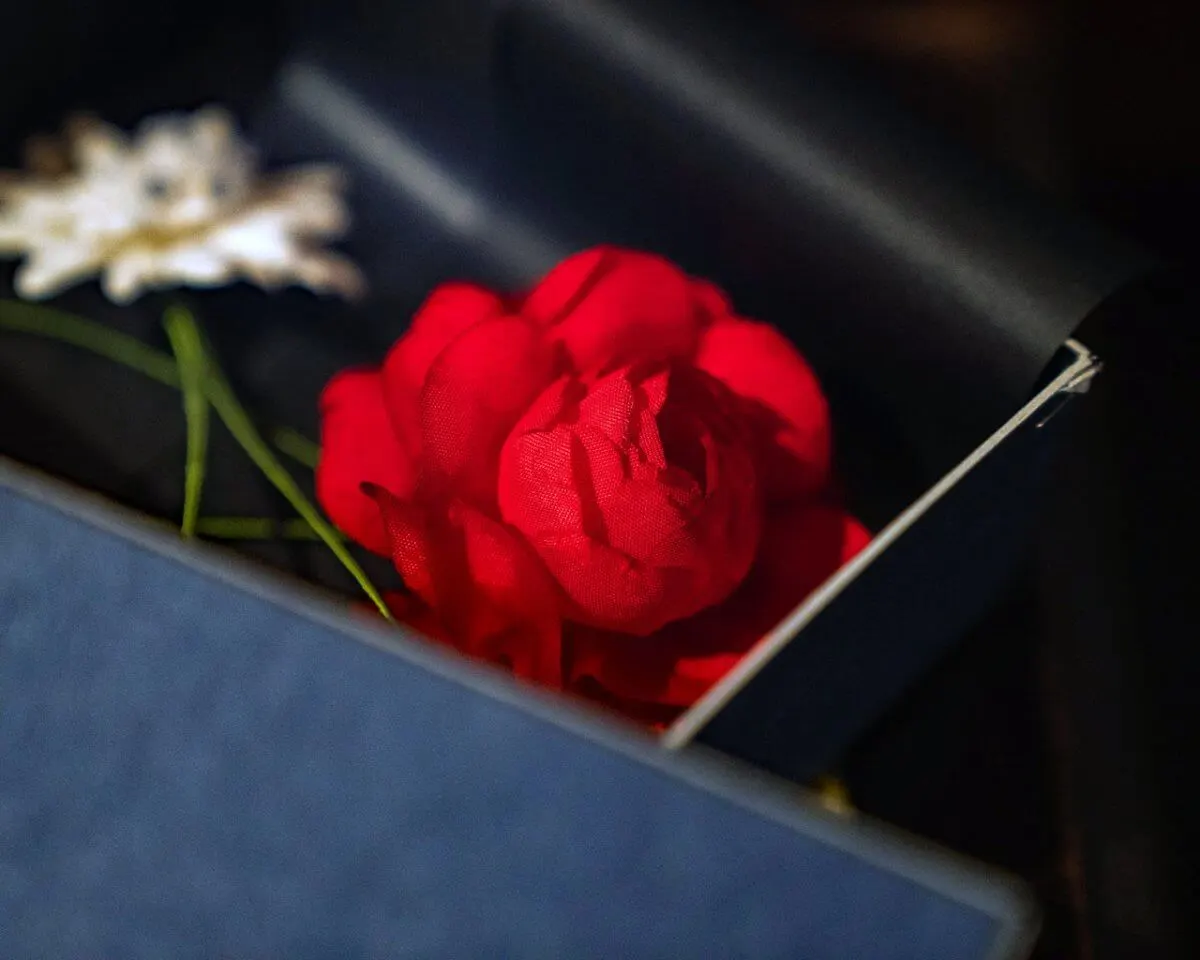 Boutonnière camellia red (Camellia) - view 8