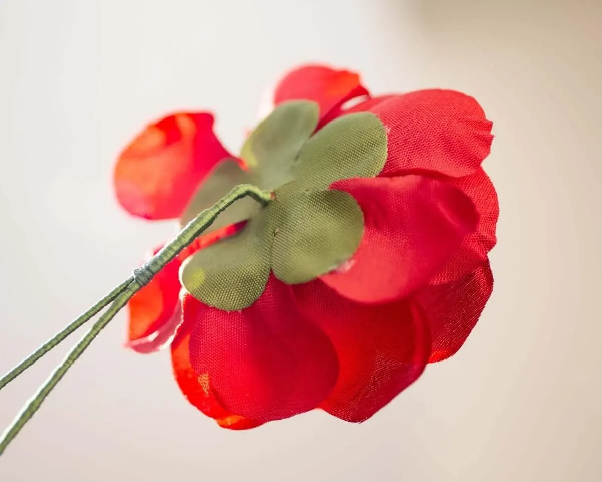 Boutonnière camellia red (Camellia) - view 3
