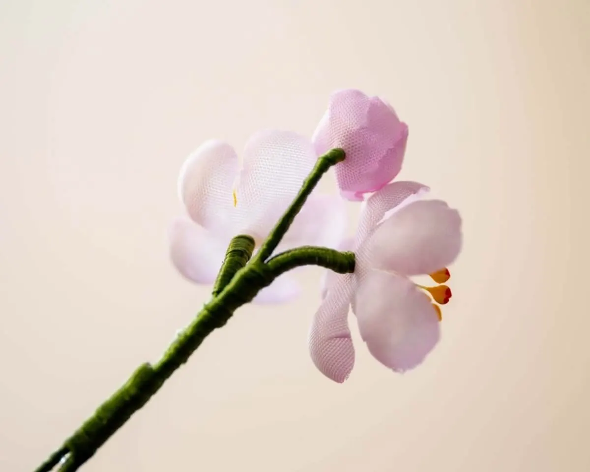 Boutonnière cherry blossom pink triple (Japanese sakura) - view 3