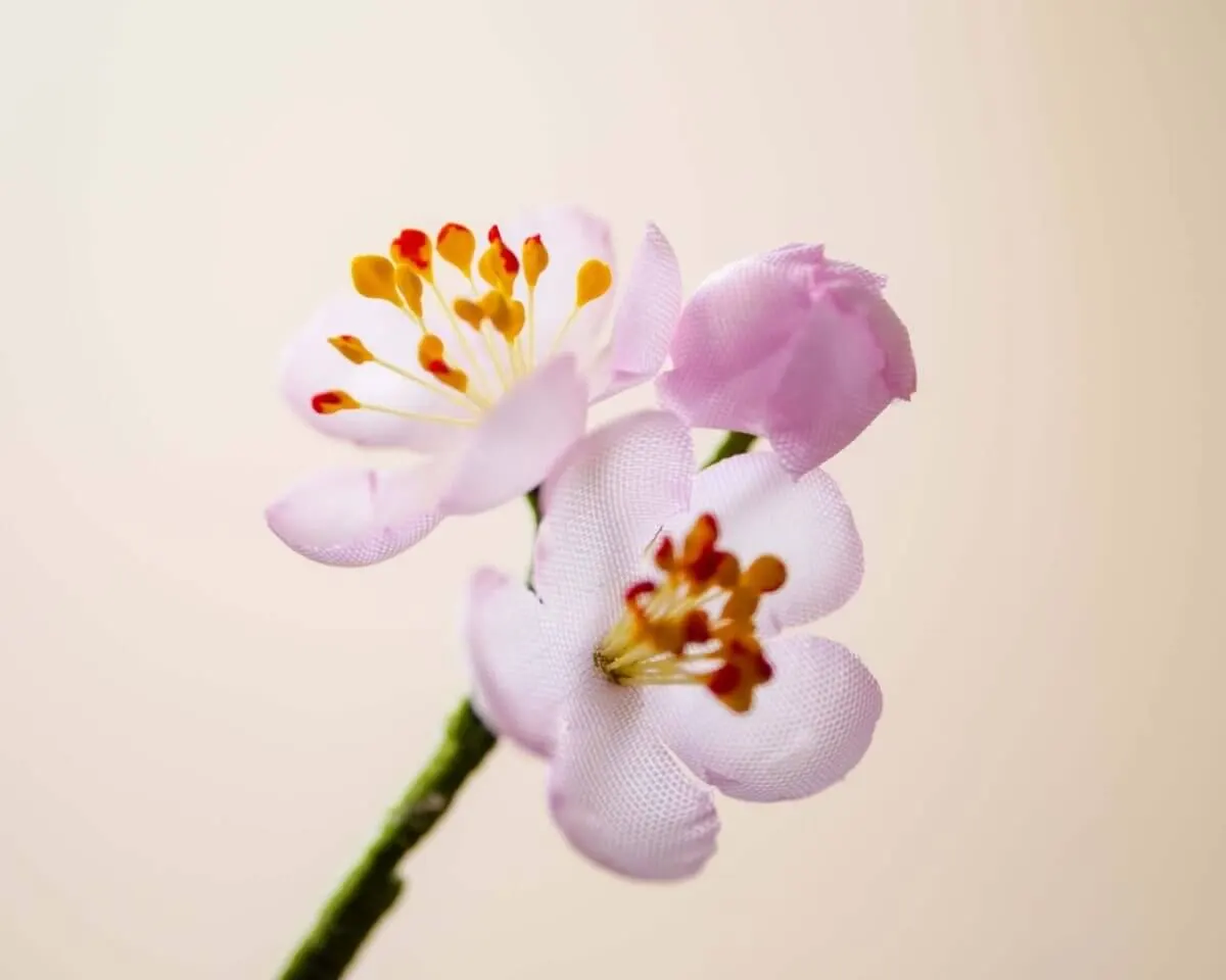 Boutonnière cherry blossom pink triple (Japanese sakura) - view 2