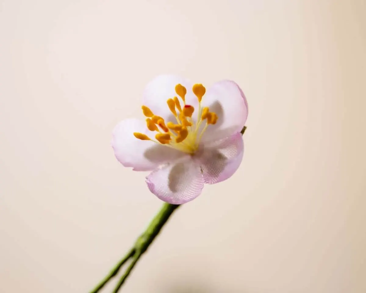 Boutonnière cherry blossom pink mini (Japanese sakura) - view 2