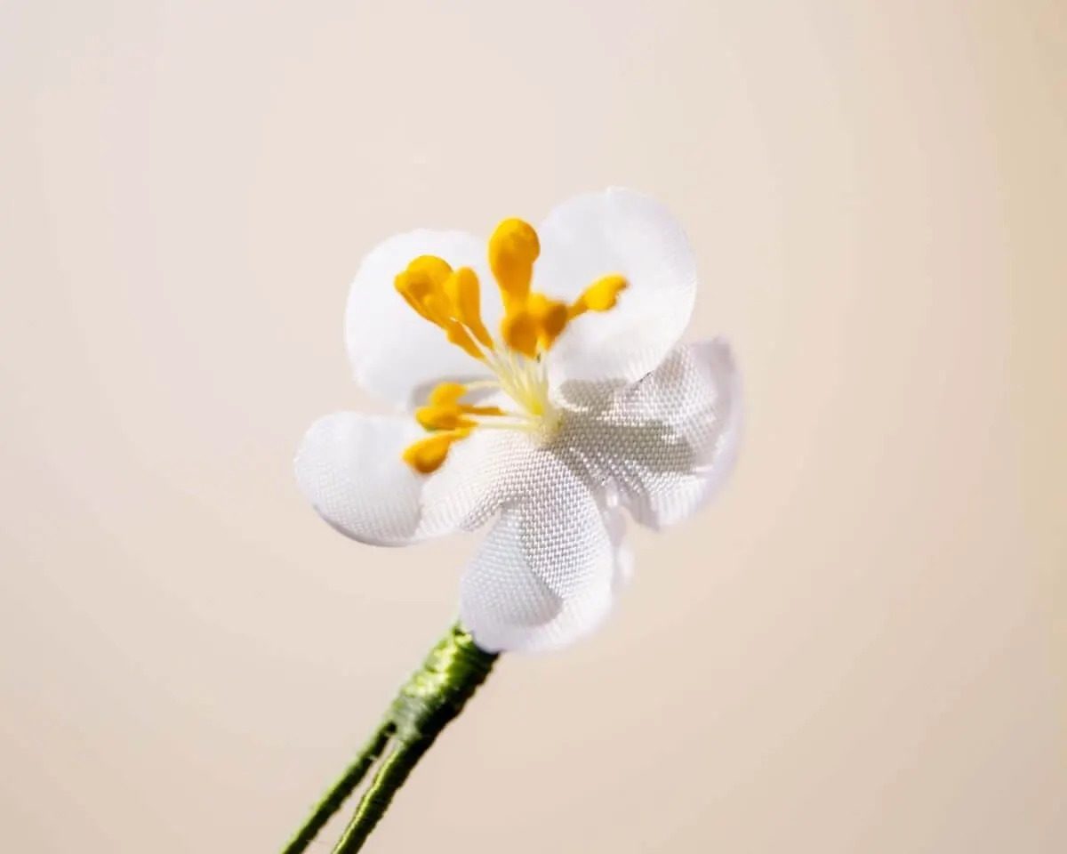 Boutonnière cherry blossom white mini (Japanese sakura) - view 2