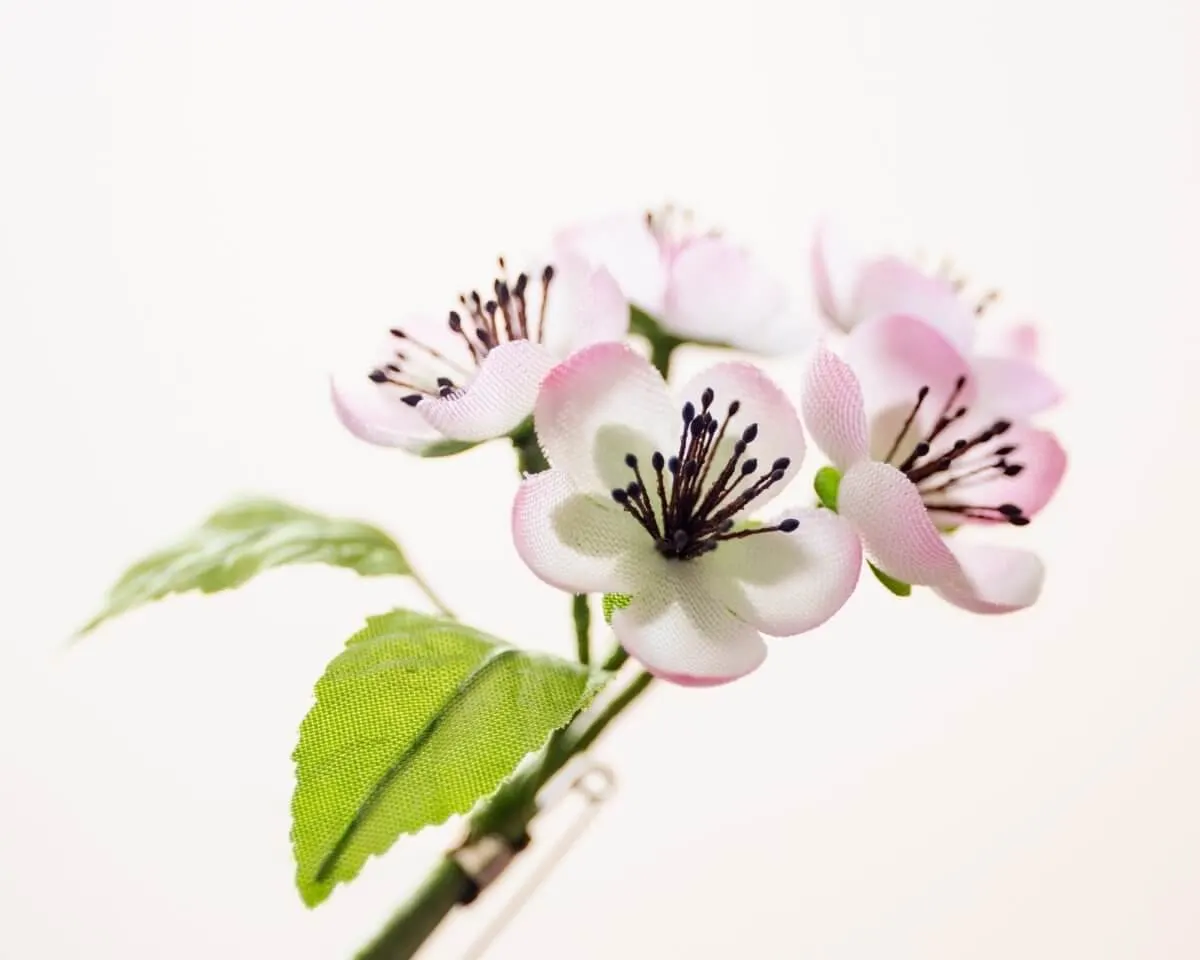 Boutonnière cherry blossoms magenta-white (Bouquet) - view 2