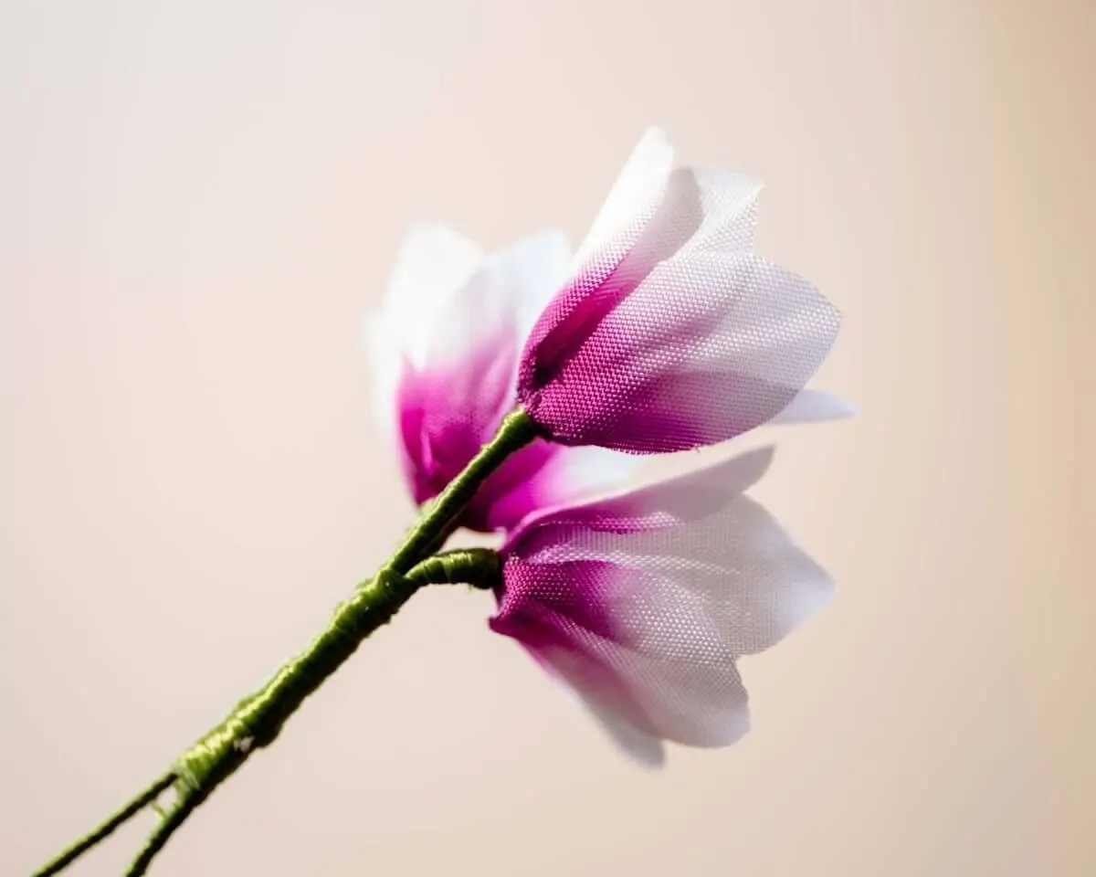 Boutonnière corn lily triple (Ixia) - view 3