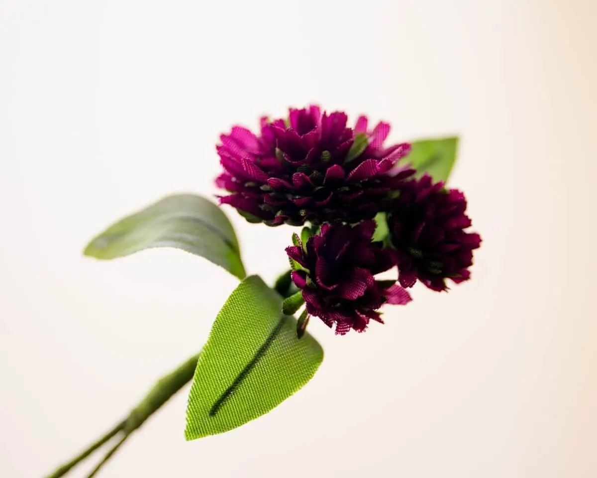 Boutonnière Clover Dark Red Triple (Trifolium) - view 2