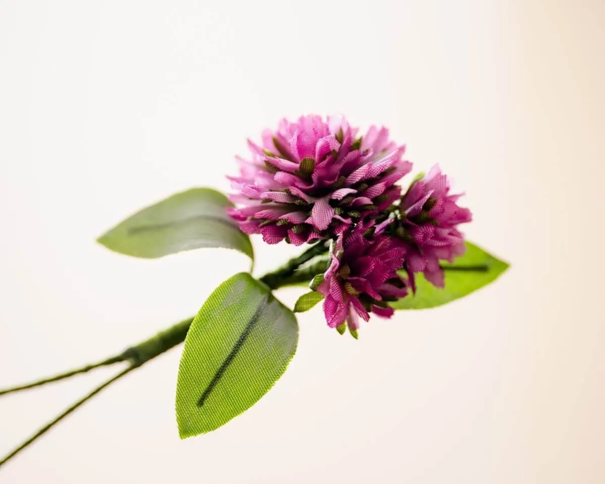 Boutonnière Clover Magenta Triple (Trifolium) - view 2
