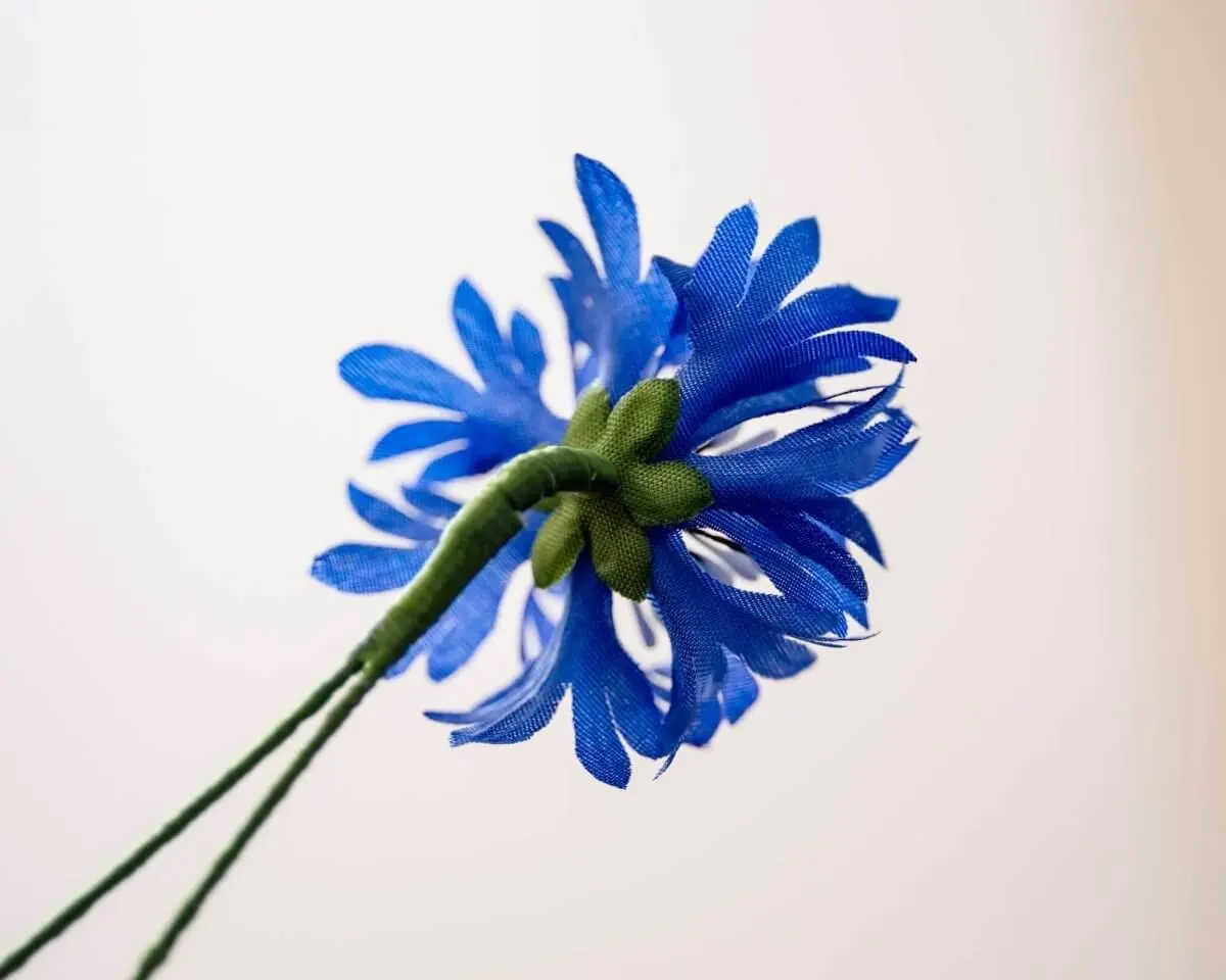 Boutonnière cornflower dark blue (Cyanus segetum) - view 3
