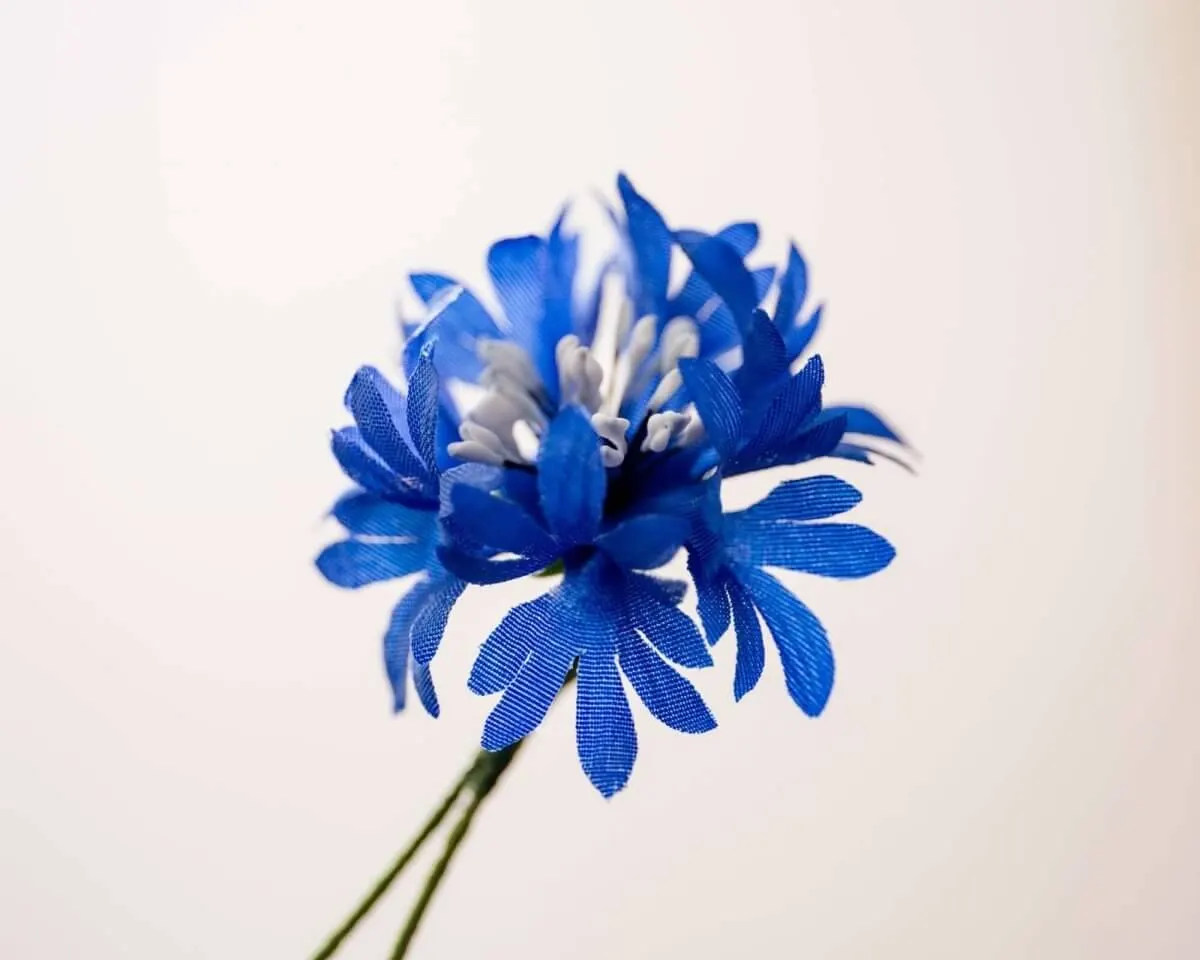 Boutonnière cornflower dark blue (Cyanus segetum) - view 2