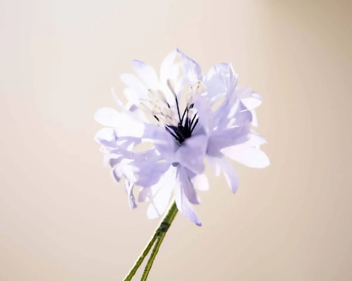 Boutonnière cornflower light blue (Cyanus segetum) - view 2