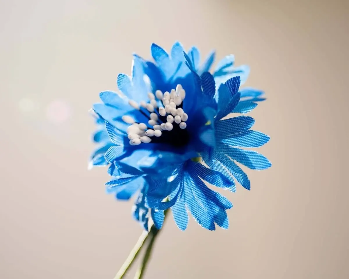 Boutonnière cornflower medium blue (Cyanus segetum) - view 2