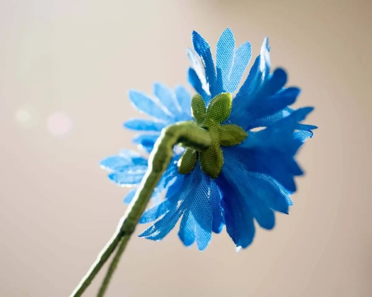 Boutonnière cornflower medium blue (Cyanus segetum) - view 3