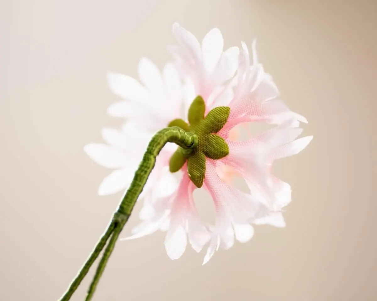 Boutonnière cornflower pink (Cyanus segetum) - view 3