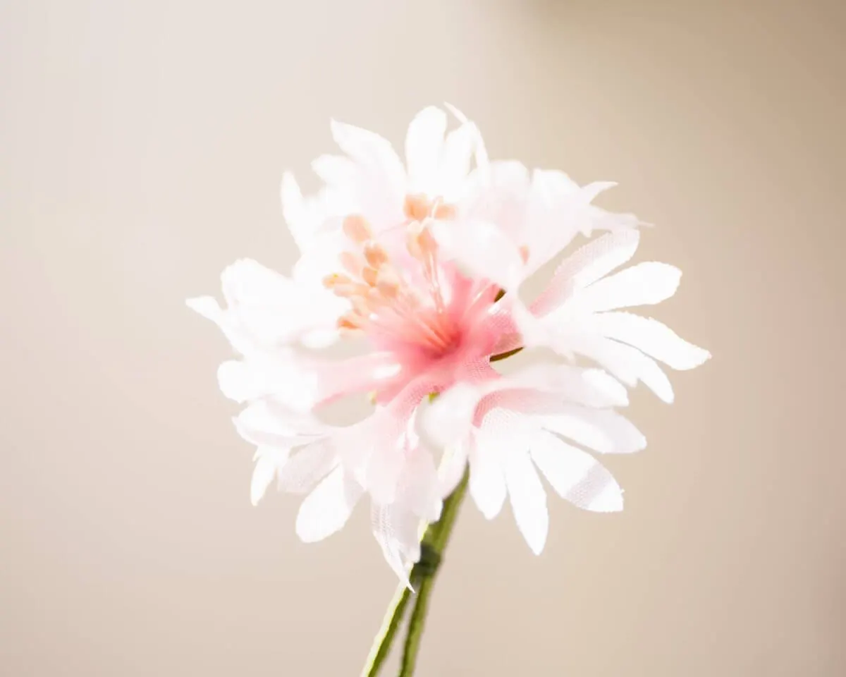 Boutonnière cornflower pink (Cyanus segetum) - view 2