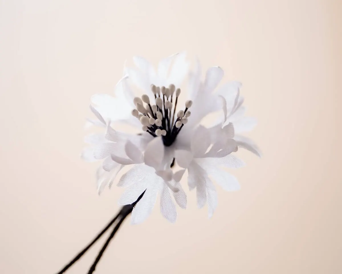 Boutonnière cornflower white-magenta (Cyanus segetum) - view 2