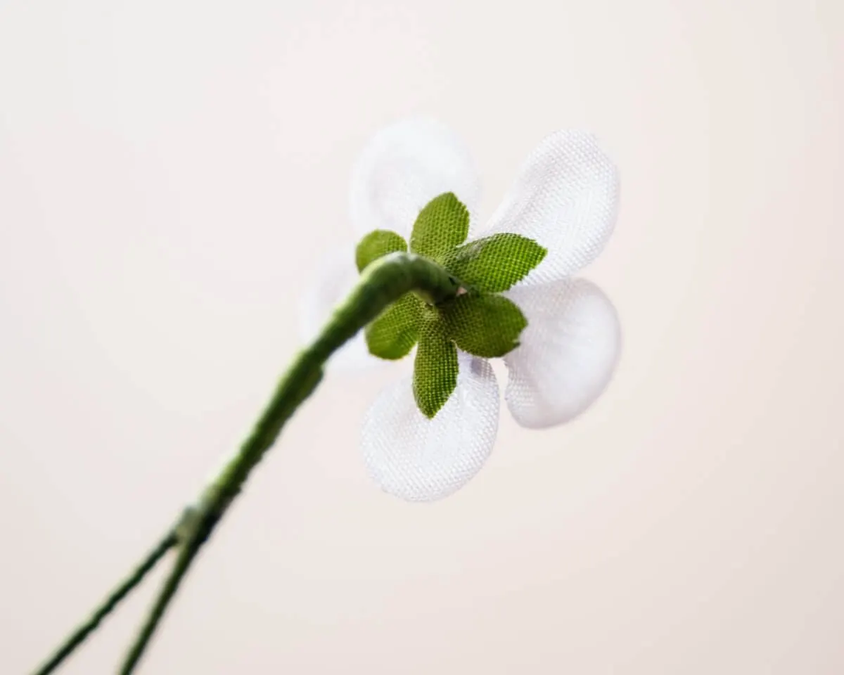 Boutonnière Lavender Geranium (Geranium) - view 3