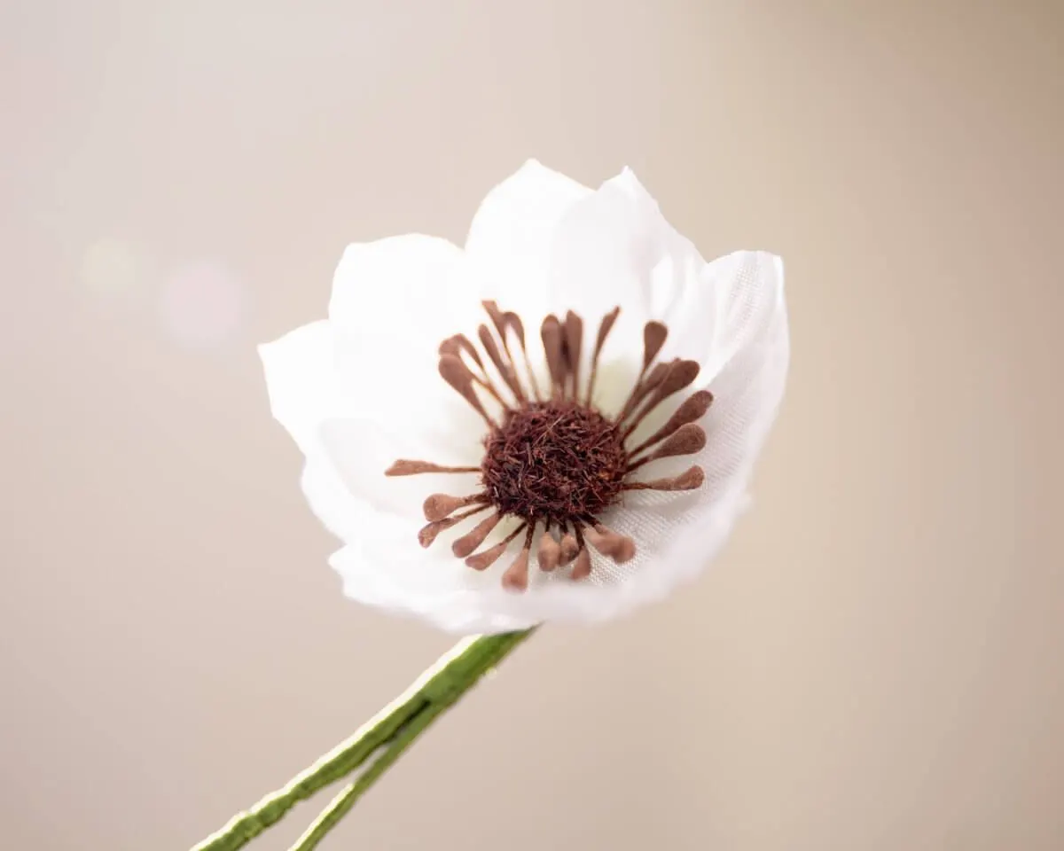 Boutonnière lotus flower white-brown (Nelumbo) - view 2