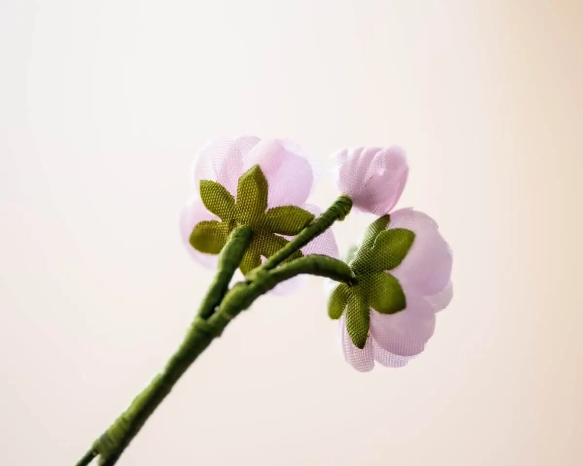 Boutonnière almond blossom triple (Prunus dulcis) - view 3
