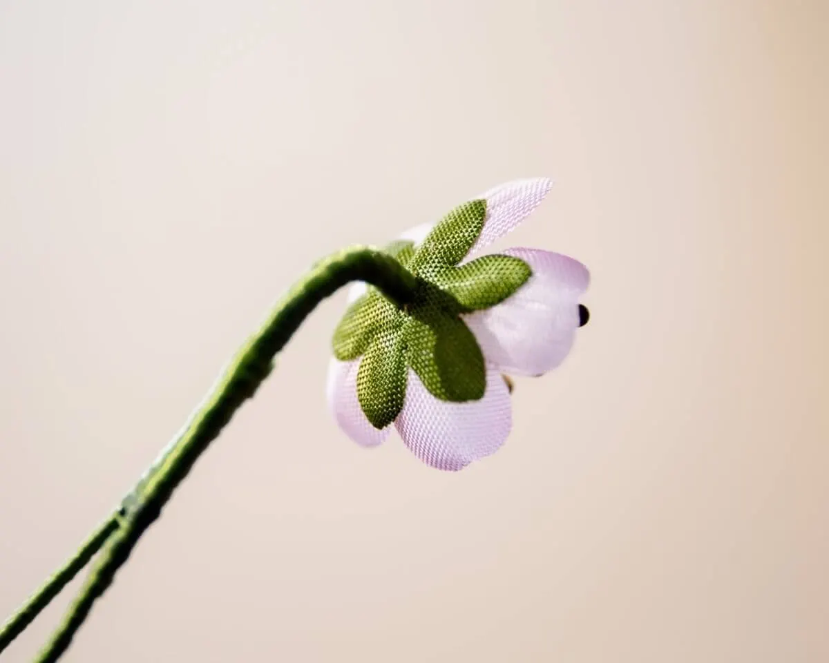 Boutonnière almond blossom mini (Prunus dulcis) - view 3
