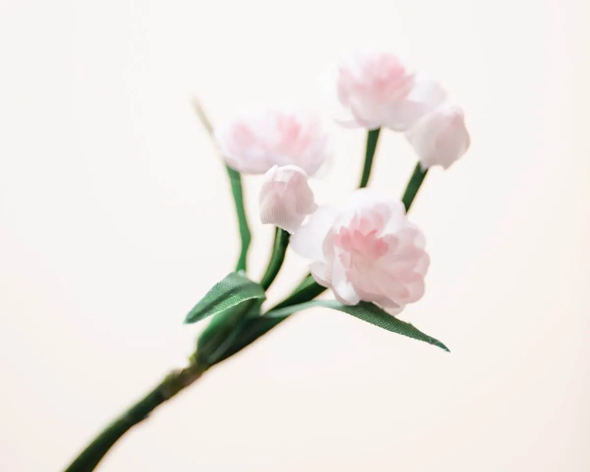 Boutonnière Almond Blossoms Pink (Bouquet) - view 2
