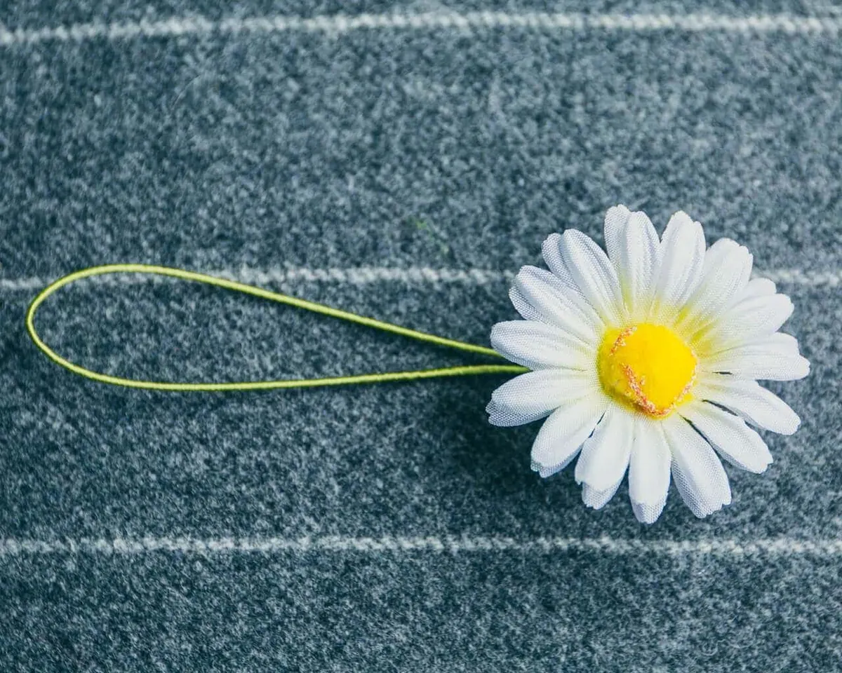 Boutonnière marguerite large (Leucanthemum) - view 7