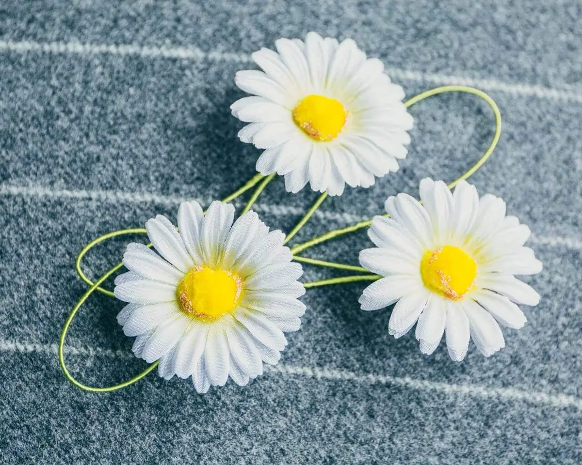 Boutonnière marguerite large (Leucanthemum) - view 6