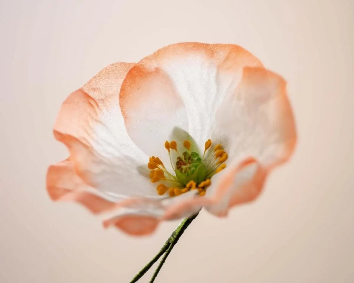 Boutonnière poppy salmon (Papaver rhoeas) - view 2