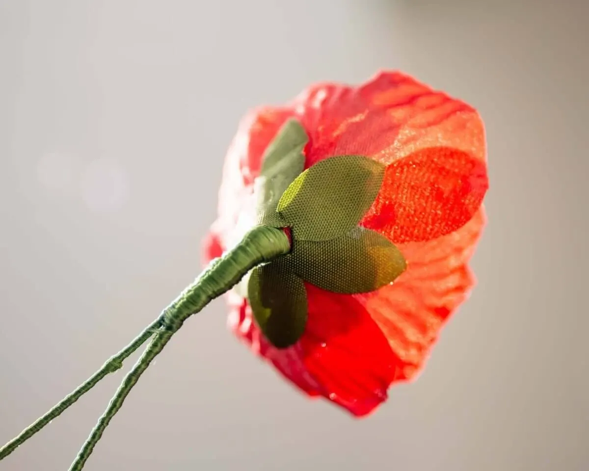 Boutonnière poppy red (Papaver rhoeas) - view 3
