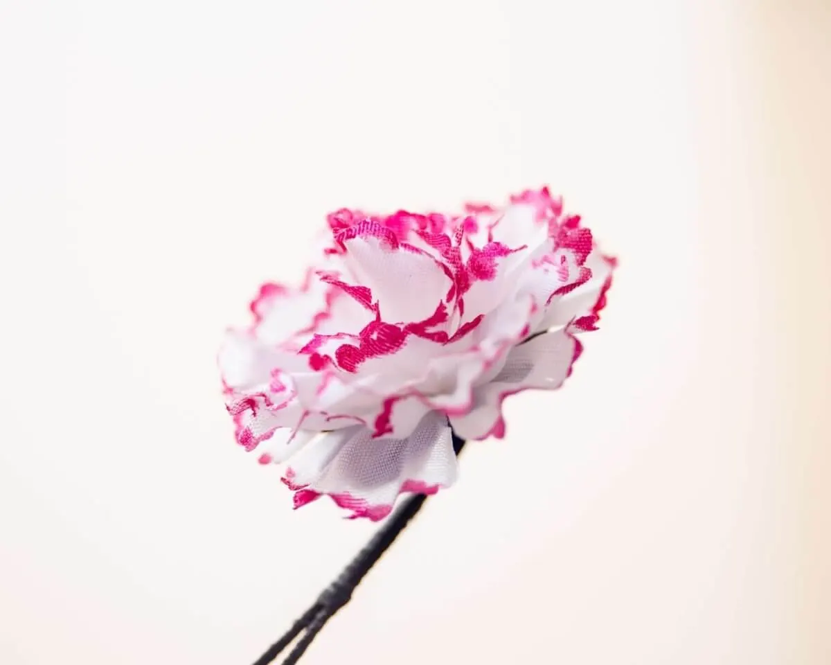 Boutonnière carnation 'Alex Mendham' a small - view 2