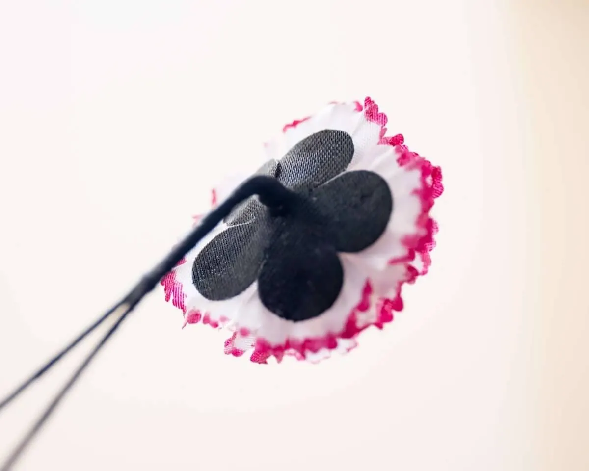Boutonnière carnation 'Alex Mendham' a small - view 3