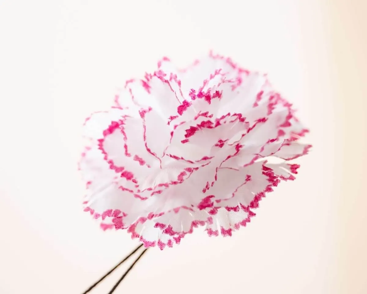 Boutonnière carnation 'Alex Mendham' b medium - view 2