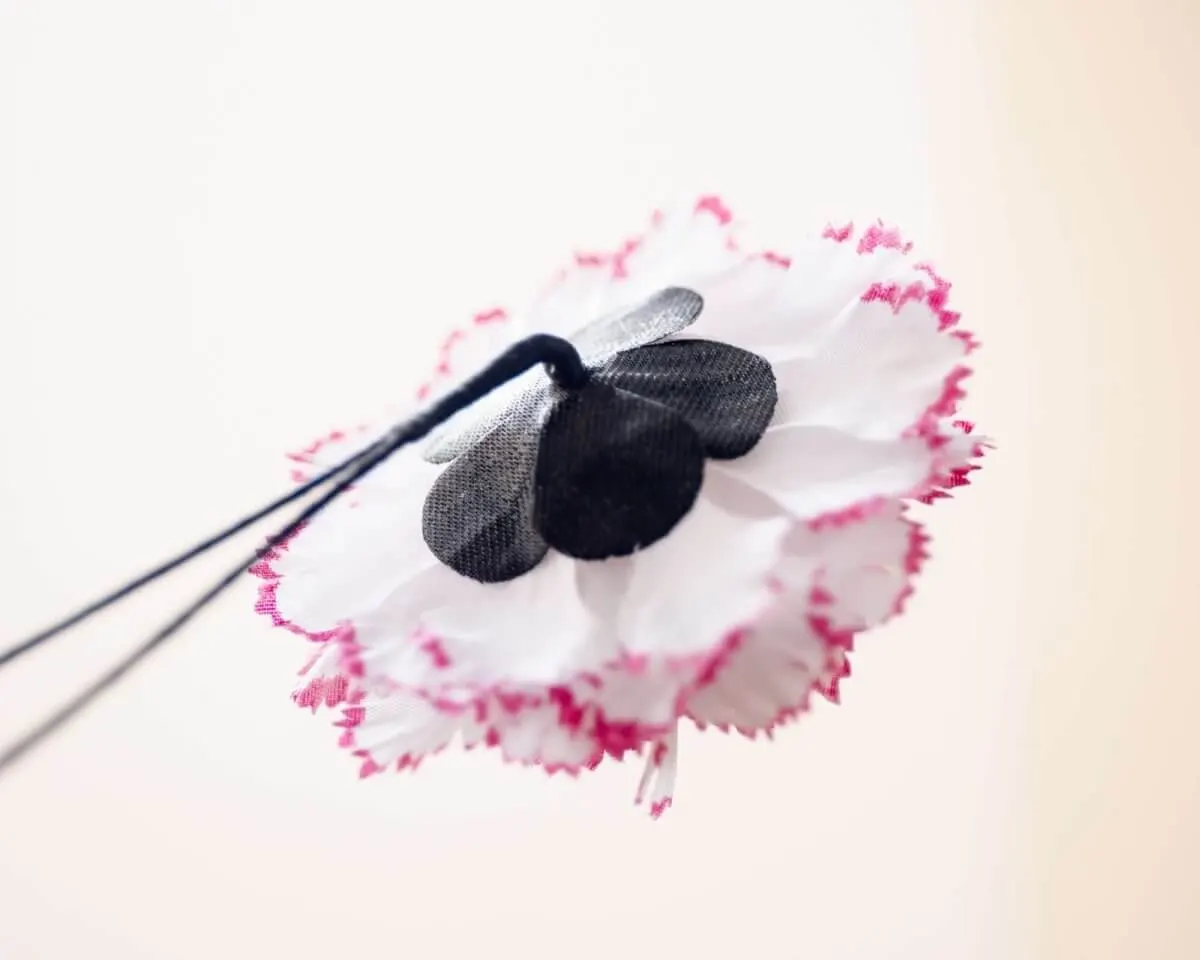 Boutonnière carnation 'Alex Mendham' b medium - view 3