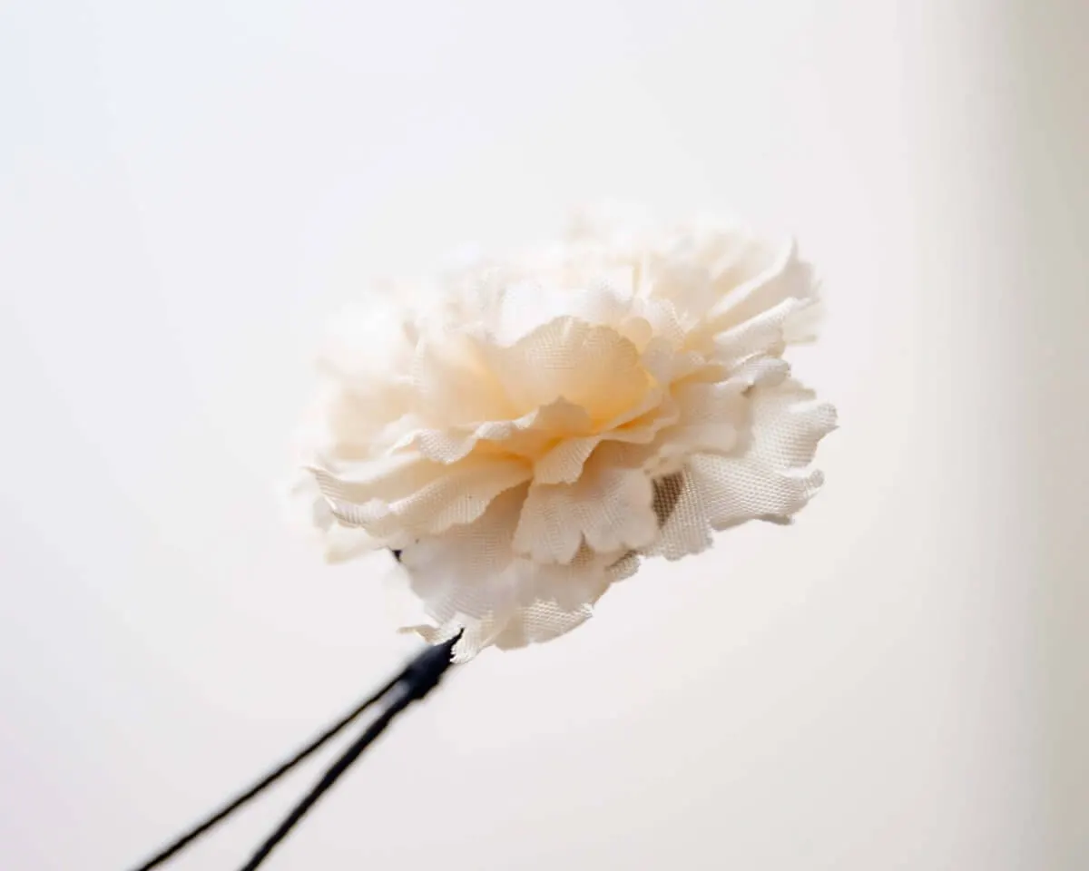 Boutonnière carnation creme a small (Caryophyllaceae) - view 2