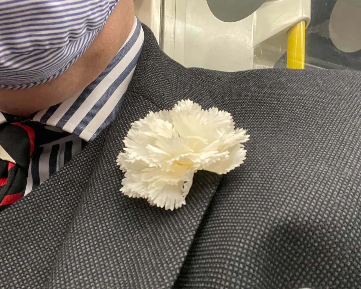 Boutonnière carnation cream b medium (Caryophyllaceae) - view 8