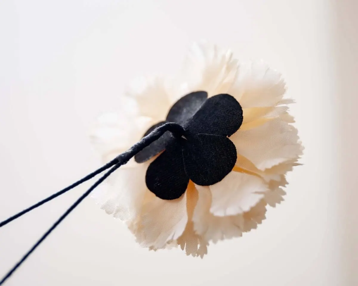 Boutonnière carnation cream b medium (Caryophyllaceae) - view 3