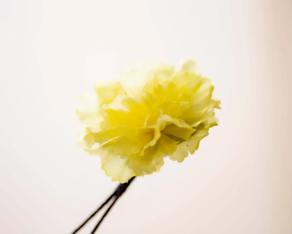 Boutonnière carnation yellow a small (Caryophyllaceae) - view 2
