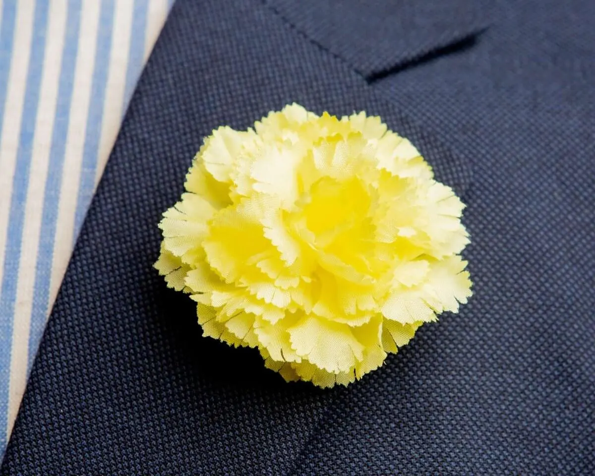 Boutonnière carnation yellow b medium (Caryophyllaceae)