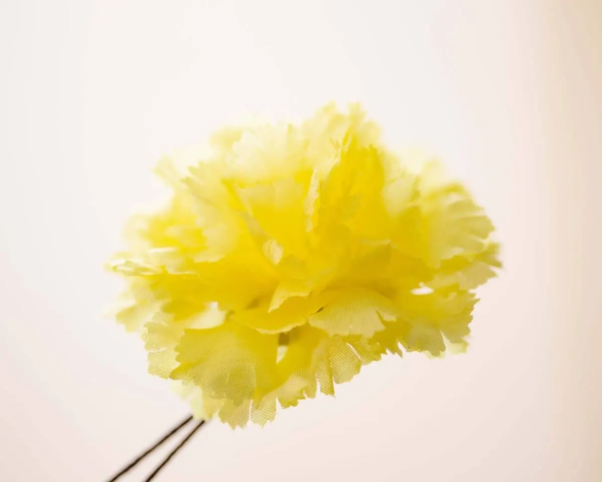 Boutonnière carnation yellow b medium (Caryophyllaceae) - view 2