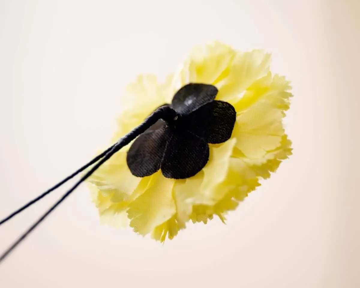 Boutonnière carnation yellow b medium (Caryophyllaceae) - view 3