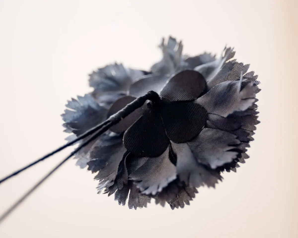 Boutonnière carnation gray b medium (Caryophyllaceae) - view 3