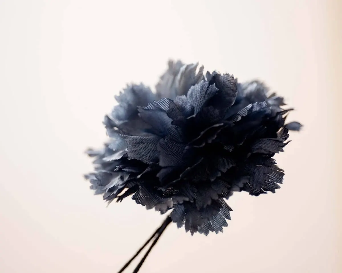 Boutonnière carnation gray b medium (Caryophyllaceae) - view 2