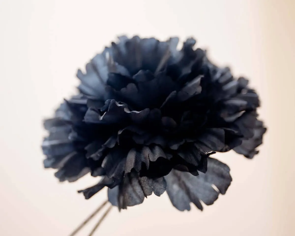 Boutonnière carnation gray c large (Caryophyllaceae) - view 2