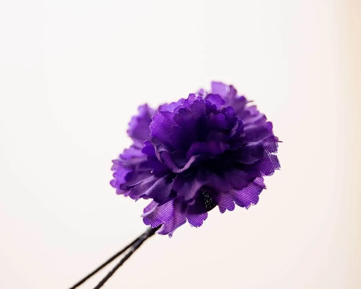 Boutonnière carnation purple a small (Caryophyllaceae) - view 2