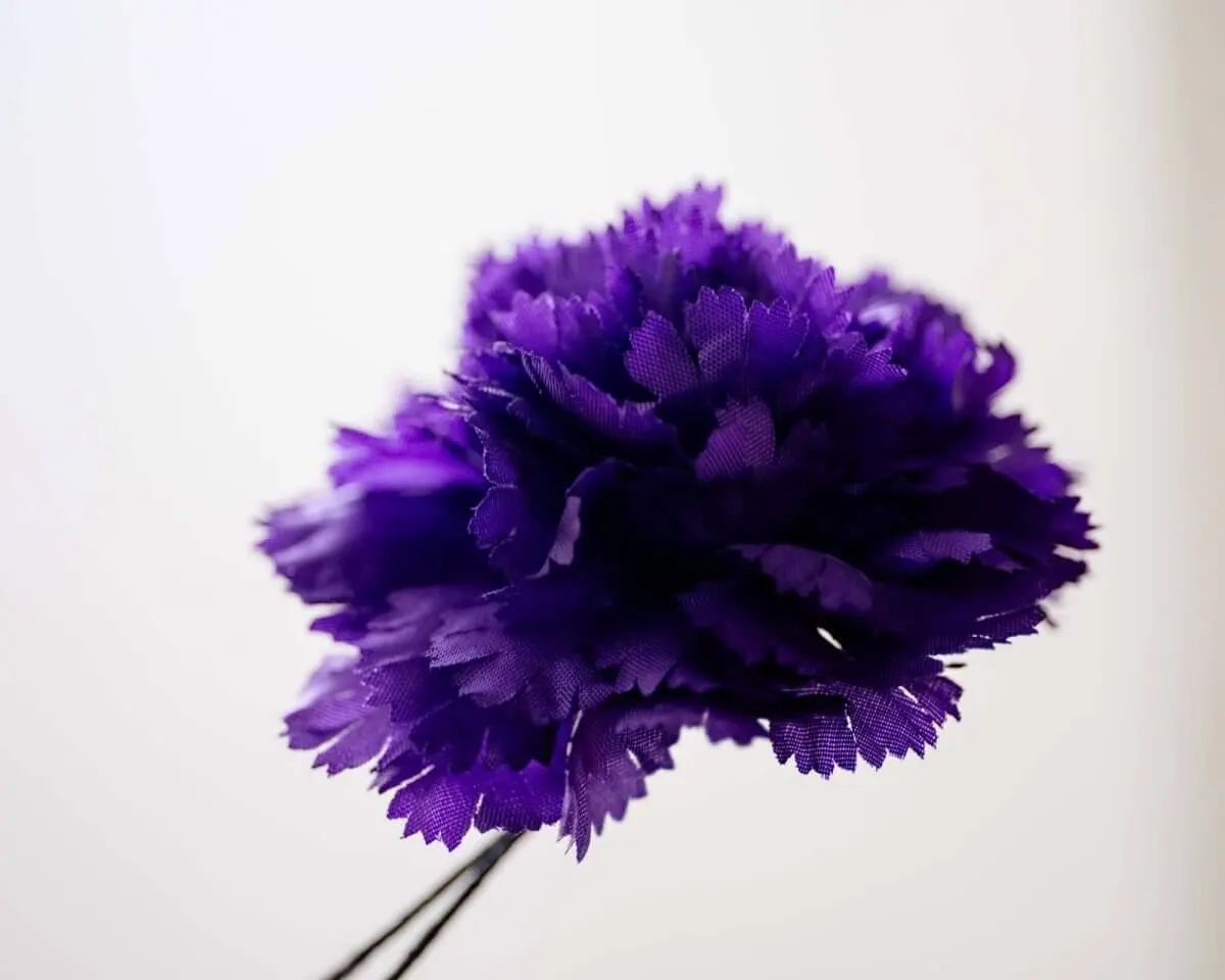Boutonnière carnation purple b medium (Caryophyllaceae) - view 2