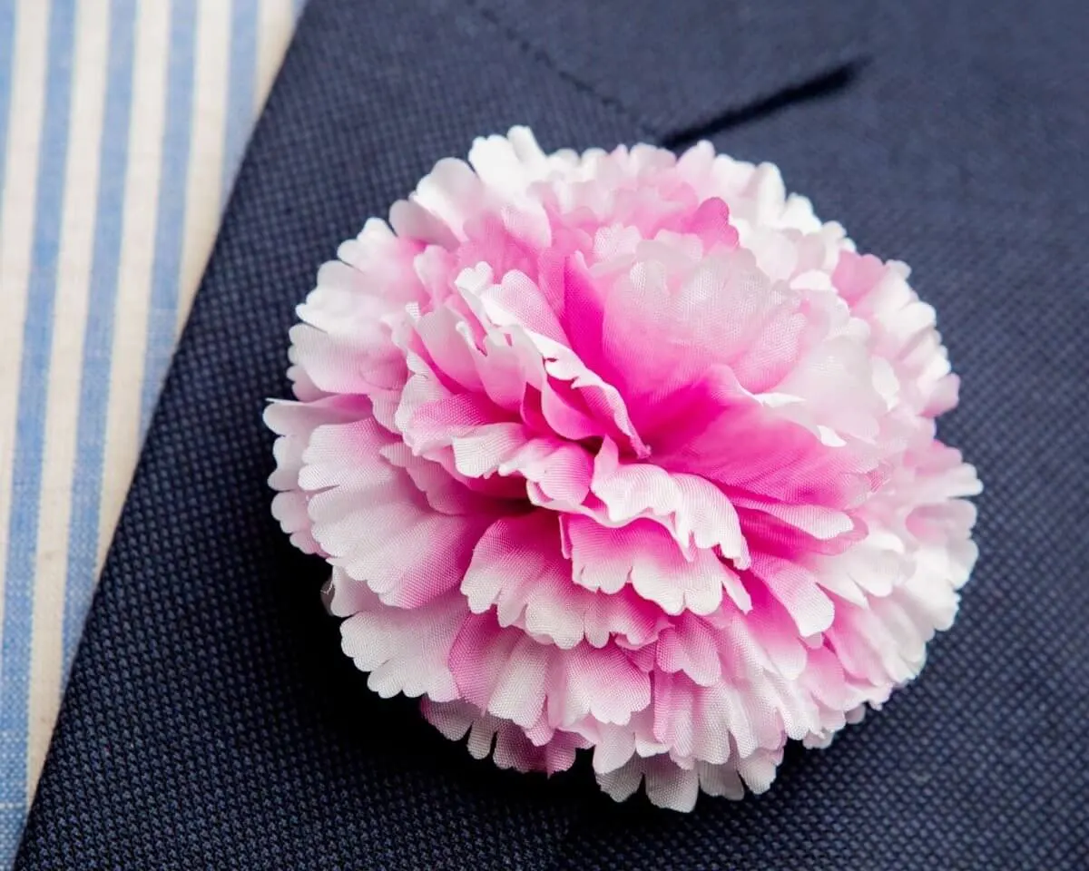Boutonnière carnation magenta c large (Caryophyllaceae)