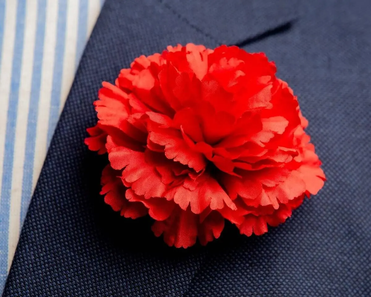 Boutonnière Nelke Rot c Groß (Caryophyllaceae)