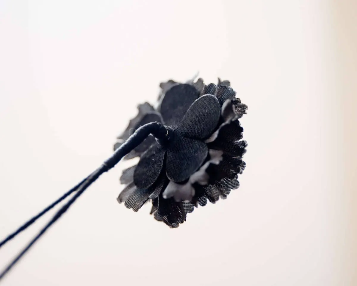 Boutonnière carnation black a small (Caryophyllaceae) - view 3
