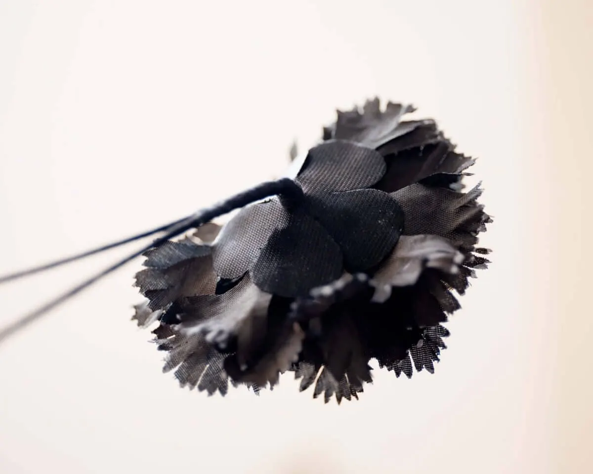 Boutonnière carnation black b medium (Caryophyllaceae) - view 3