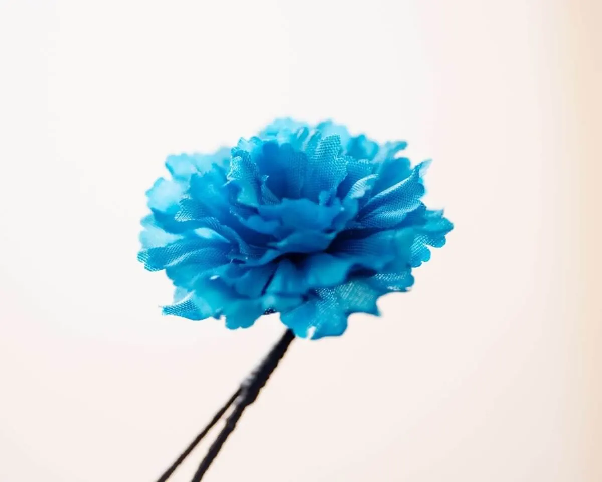 Boutonnière carnation turquoise a small (Caryophyllaceae) - view 2