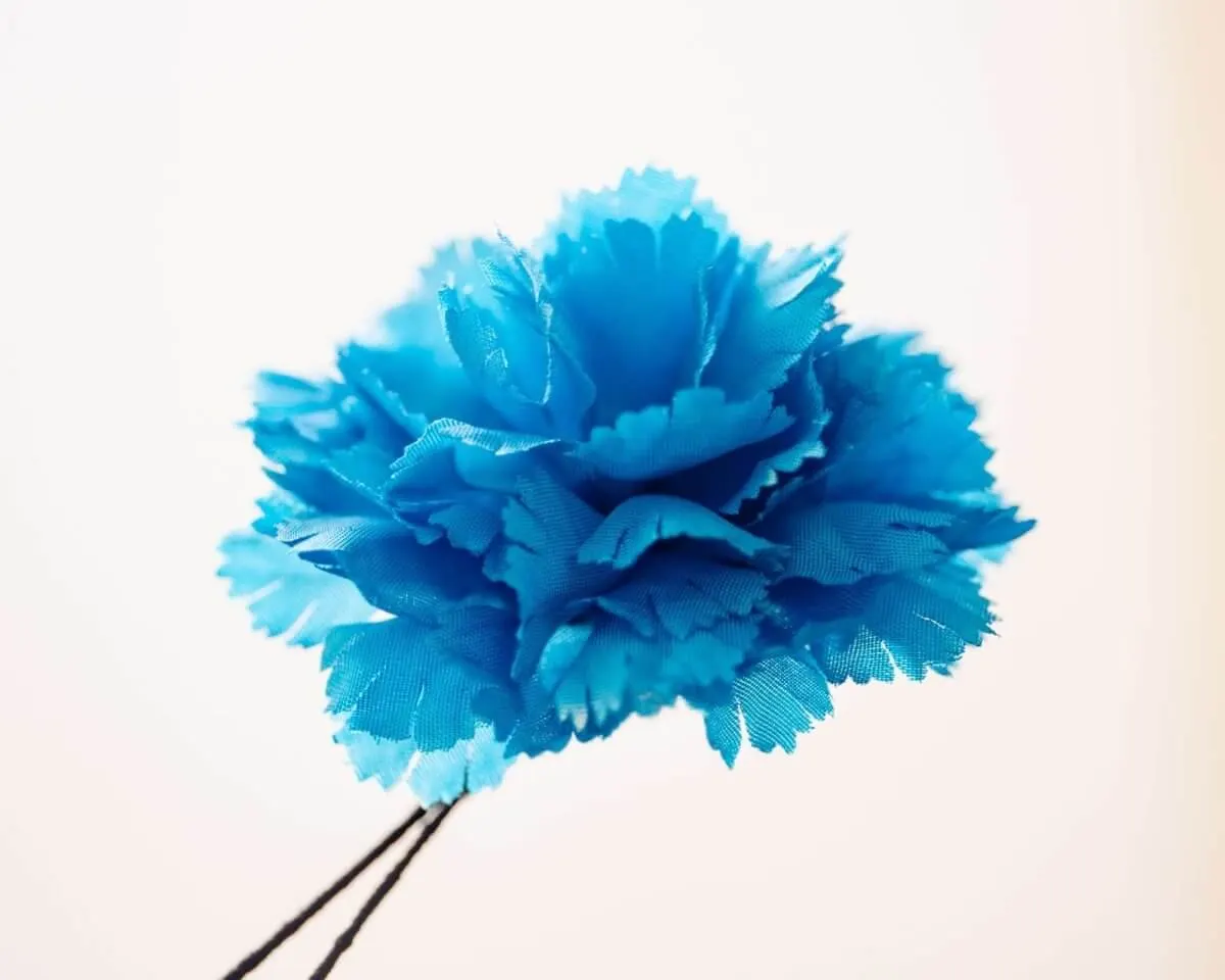 Boutonnière carnation turquoise b medium (Caryophyllaceae) - view 2