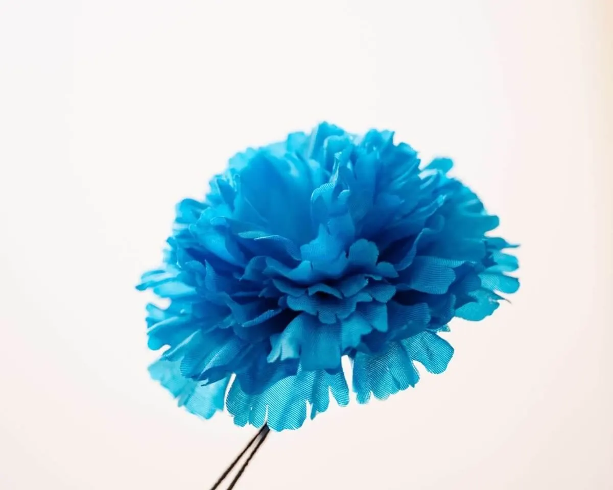 Boutonnière carnation turquoise c large (Caryophyllaceae) - view 2